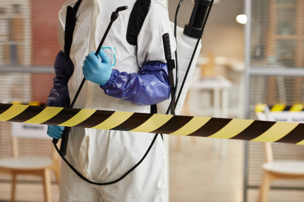 Professional Hoarding Cleanup technician working in Hamilton, TX